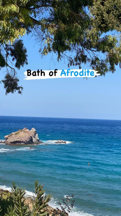Beautiful Apartment Near The Sea And A Large Private Garden Paphos Exterior photo